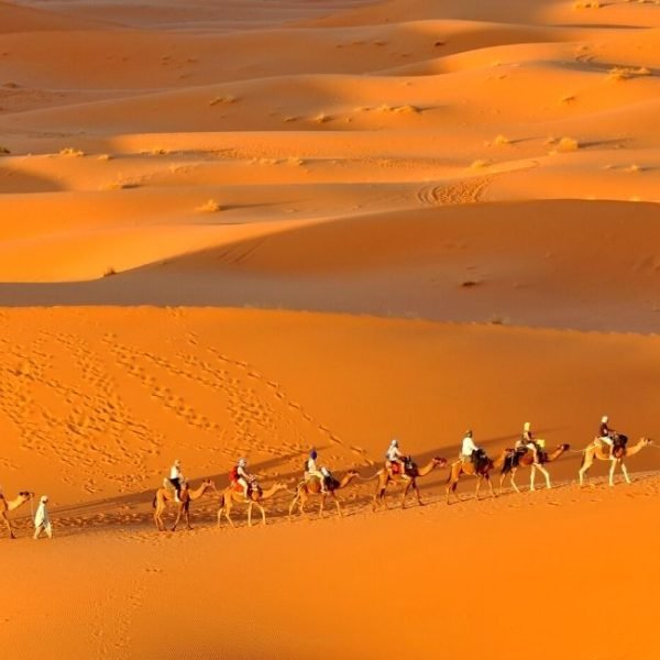 2 days camel trek in merzouga